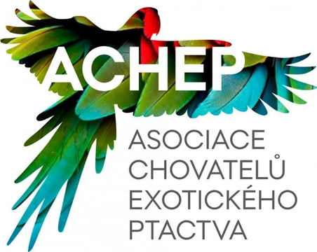 Nová Asociace chovatelů exotického ptactva (ACHEP)