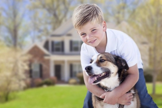 Does your child behave appropriately towards your dog?