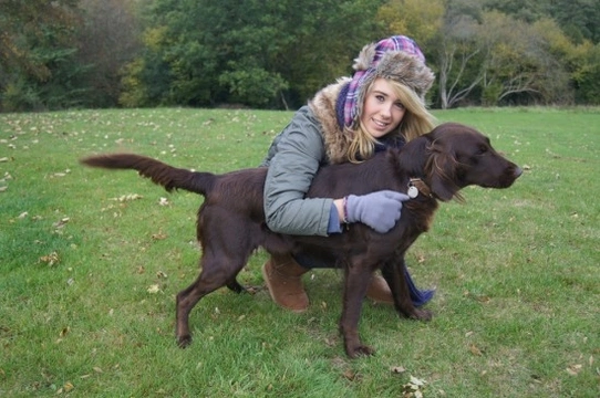 The countryside code for dog owners - Your rights and responsibilities ...