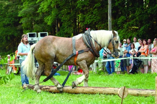 Kvalifikace na MČR v těžkém tahu a ovladatelnosti v kládě