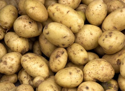 Rauwe aardappelen giftig voor honden