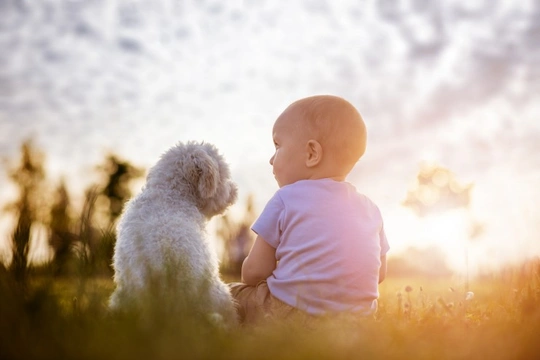 How would you know if you or your child were allergic to dogs?