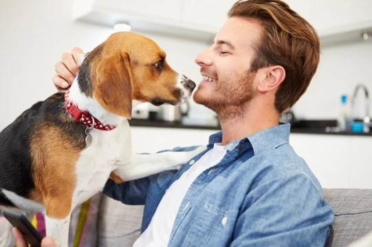 How to Find the Perfect Pet Sitter