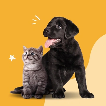The Post-Pandemic Pet Market: How Coming out of Lock-down Affected Pet Sales And Pricing In 2021