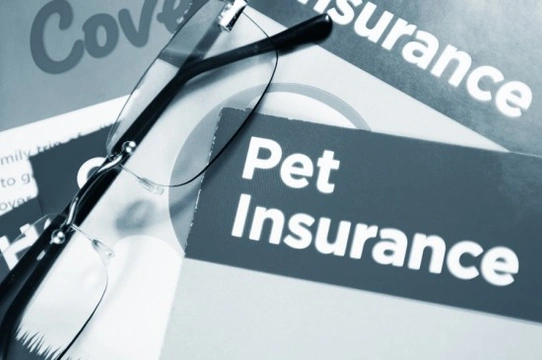 How To Get The Best Pet Insurance Deal