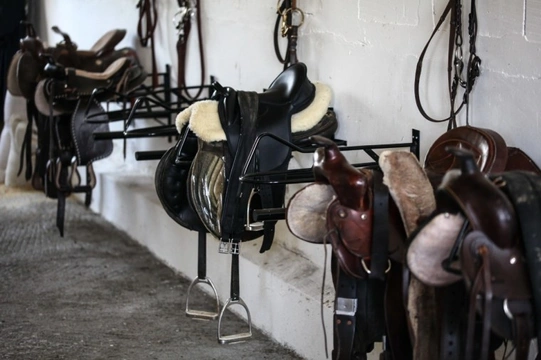 Top Tack Tips