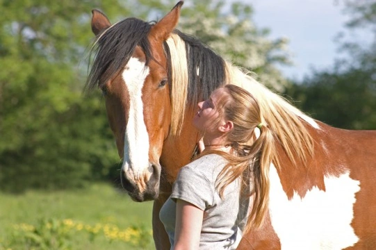 A guide to Natural Horsemanship
