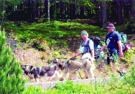 Canicross a spol. – díl 18.