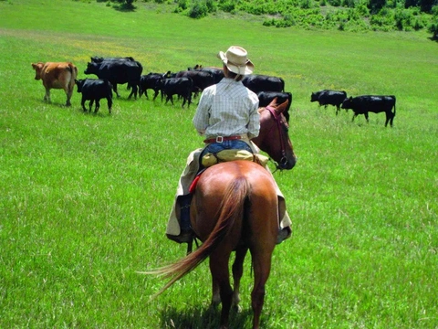 Když jsem jela Coloradem … aneb jak se stát cowgirl