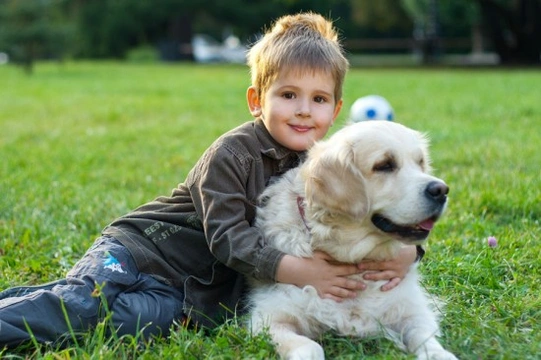 Dogs and children - Age appropriate dog care for kids
