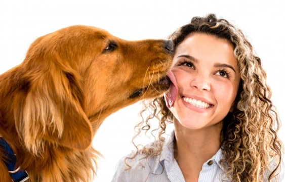 Dogs and licking - How to stop your dog from licking you