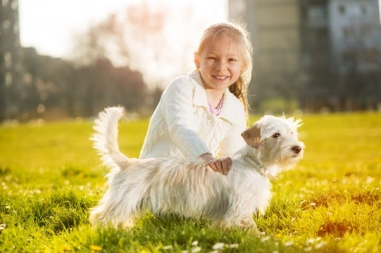 Pets & Autistic Children - A Great Combination