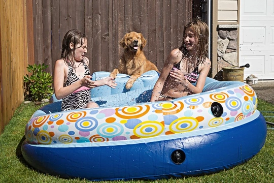 Summer safety tips - Your dog and your paddling pool
