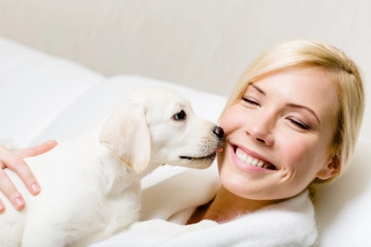 Why do dogs lick other dogs or people on the mouth?