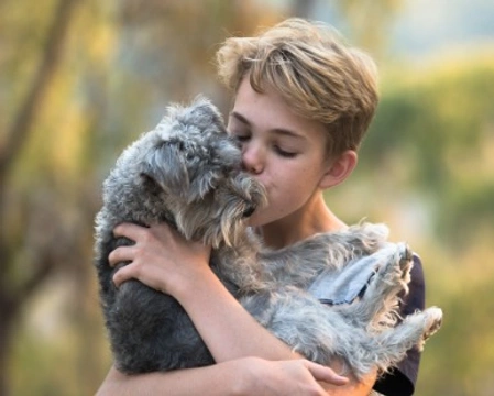 Pet Therapy per bambini, benefici e gli animali amici dei più piccoli