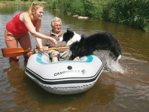 Jak dostat psa do lodě