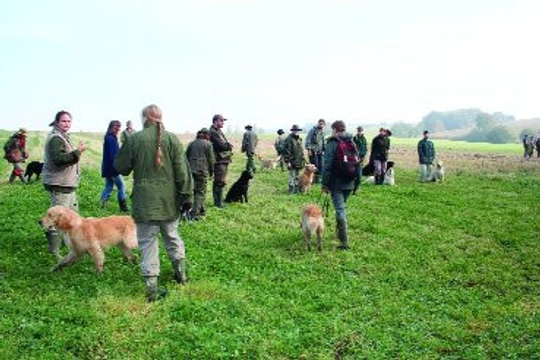 Národní Field Trial Šašovice