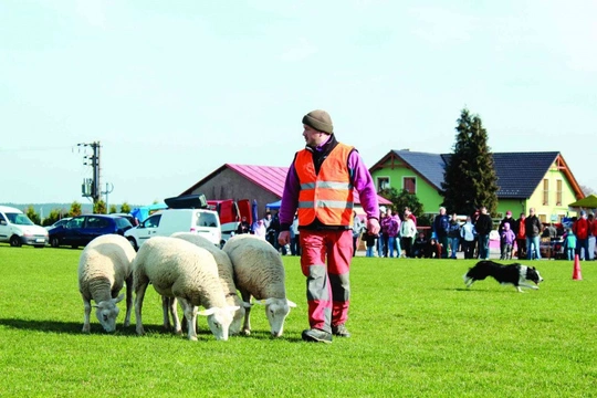 Výstava Vysočiny – pohled do zákulisí