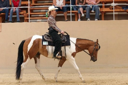 Western Riding Club a nové možnosti