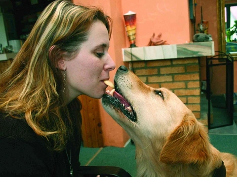 Terapie pomocí zvířat z pohledu vědy i praxe