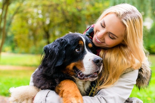 Six signs that you might be barking mad for dogs!
