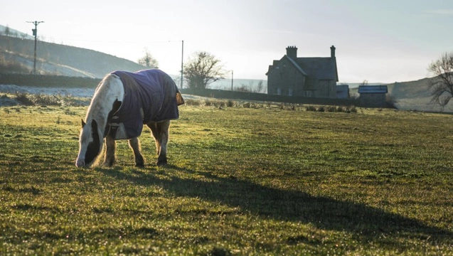 Top Tips for Looking after your Horse Through Winter