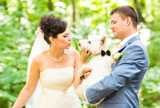 Ten 10 ideas for involving your dog in your wedding, civil ceremony or vow renewals