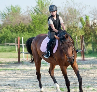 Getting the most out of your riding lessons