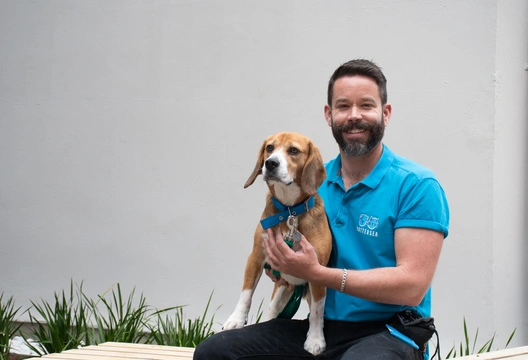 How adoption works at rescue organisation Battersea