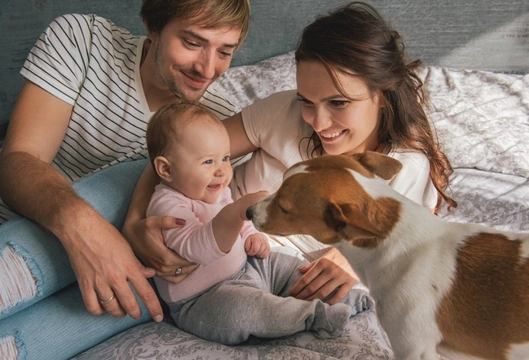 7 tips and tricks for introducing your dog to your new baby