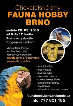 Burza okrasného ptactva v Brně 20. 3. 2016
