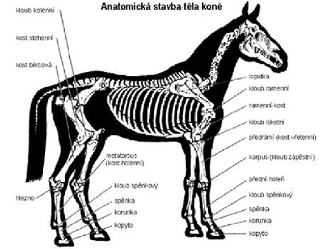 Westernová výstroj: Ochranné pomůcky