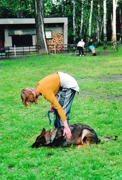 Plazení psa na povel