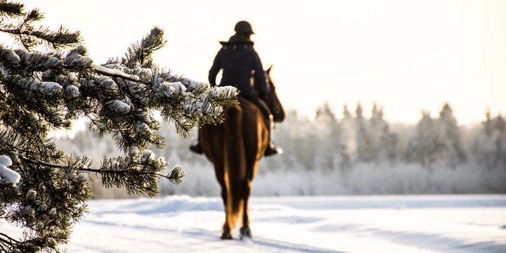 Varm i vinter- klä dig rätt i stallet och slipp frysa