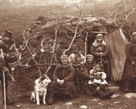 La storia e le origini dell'Alaskan Malamute