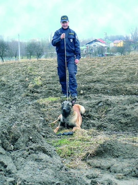 Vedení psa po stopě