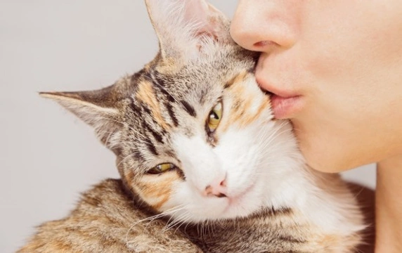 What do Cats Really Think About People?