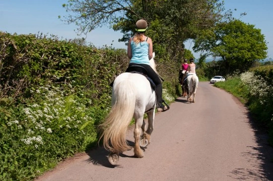 Staying Safe When Out Riding Your Pony on Roads