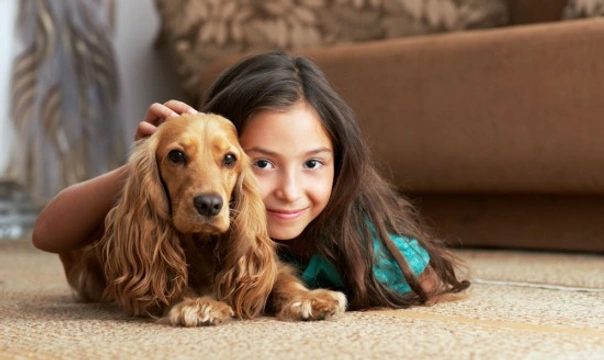 Ten fun facts about dogs for kids