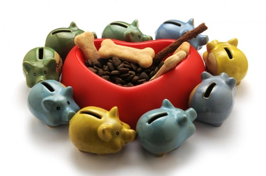How to support pet foods banks in the UK