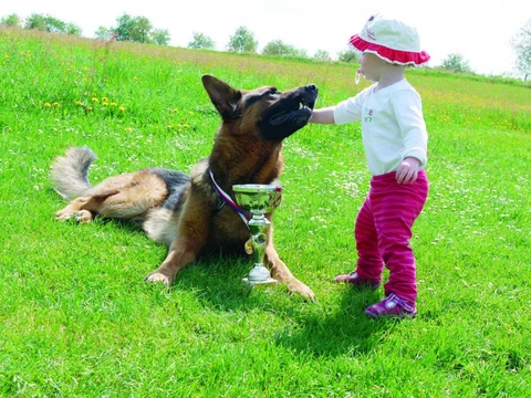 Dítě a pes