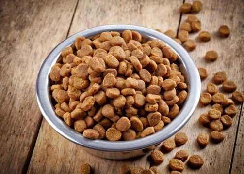 How to make dry dog food more appealing to your dog
