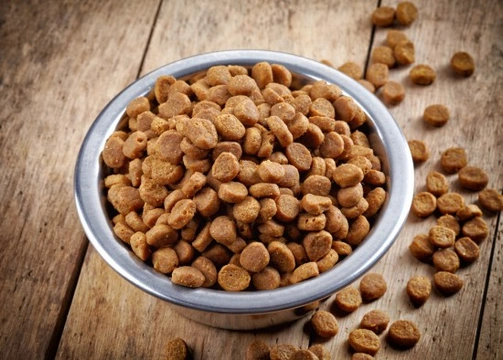 How to make dry dog food more appealing to your dog Pets4Homes