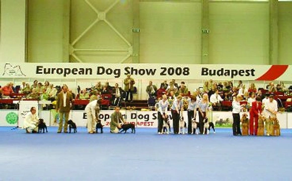 Eurodogshow 2008