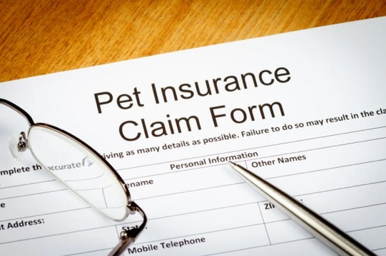 Pet Insurance : The Technicalities