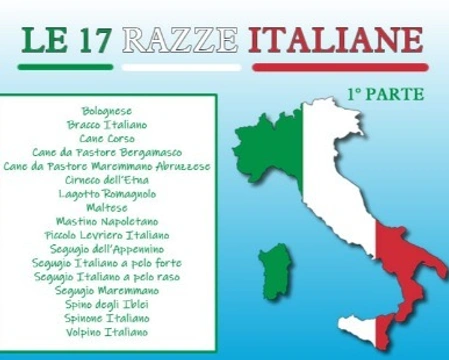 Le 17 razze italiane, vanto e orgoglio dell'Italia cinofila - 1° parte
