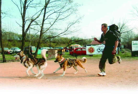 Musa pedestris aneb Abeceda dog – trekkingu (22.)