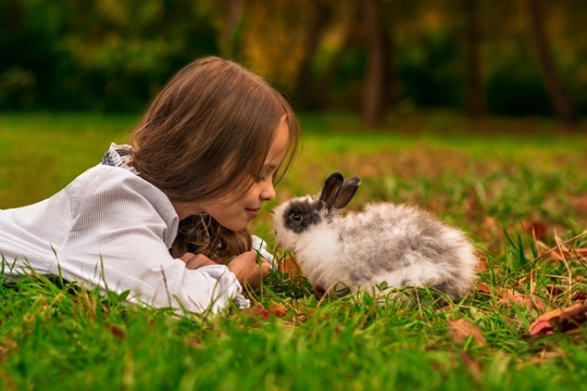 Can we catch diseases from pet rabbits?