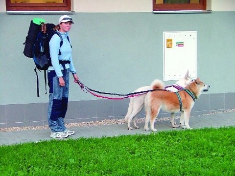 Dogtrekking očima pořadatele