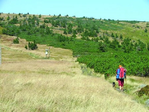 JAK SE POTKAT S DOGTREKKINGEM